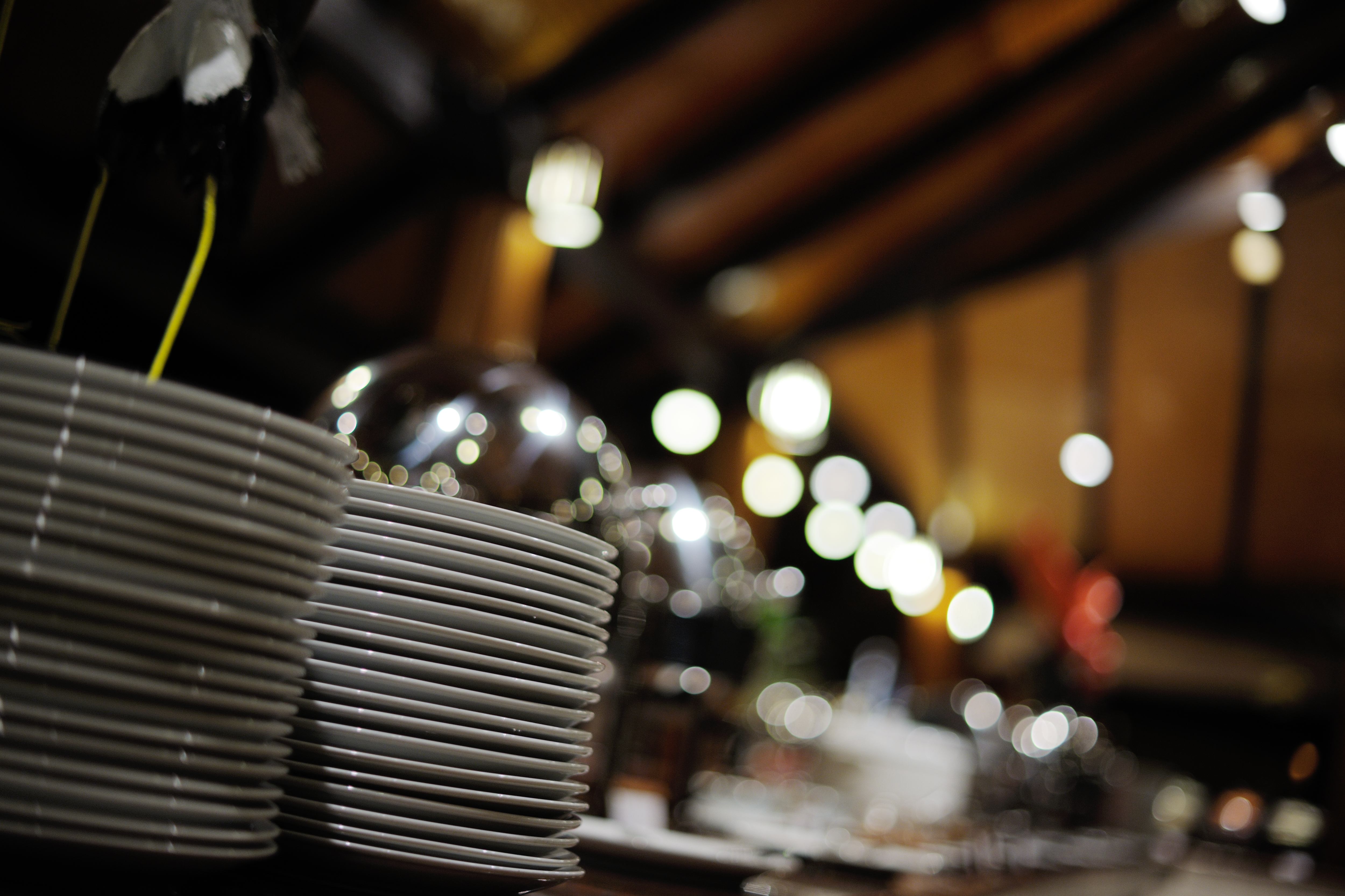 단원구, 뷔페 음식점 위생점검 실시