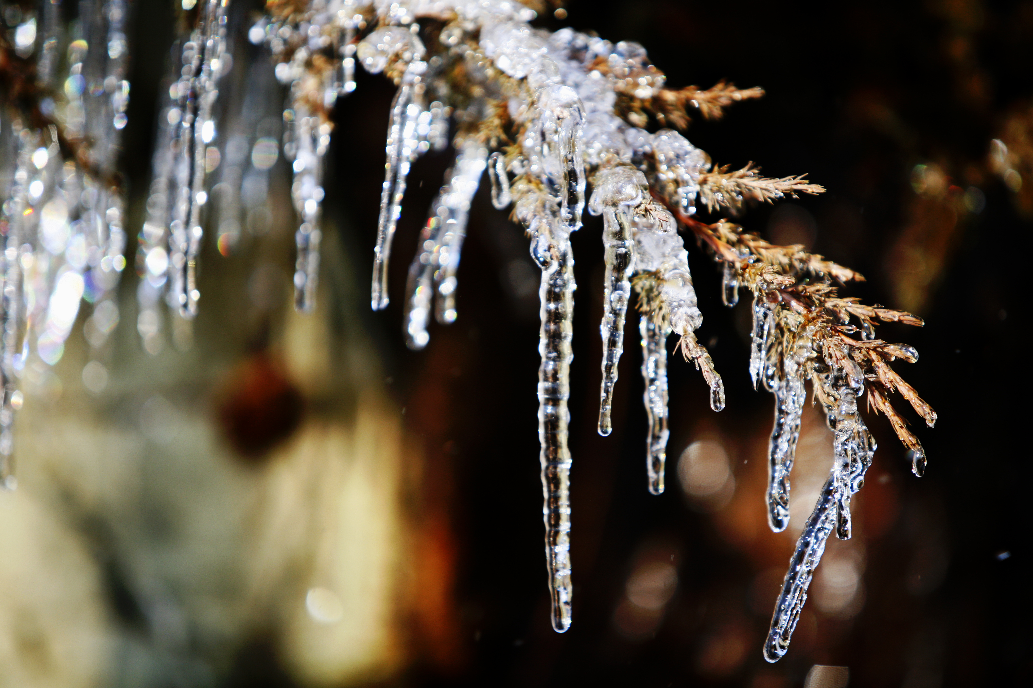 한파대비 취약계층 방문건강관리 실시