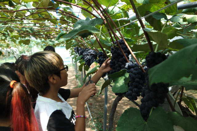 안산시, 학생과 농민이 행복한 학교급식 교육 실시