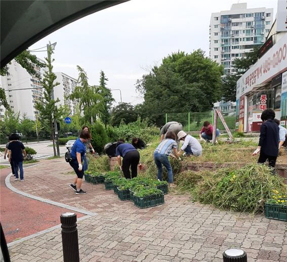 성포동, 가을꽃 식재와 추석맞이 국토대청결운동