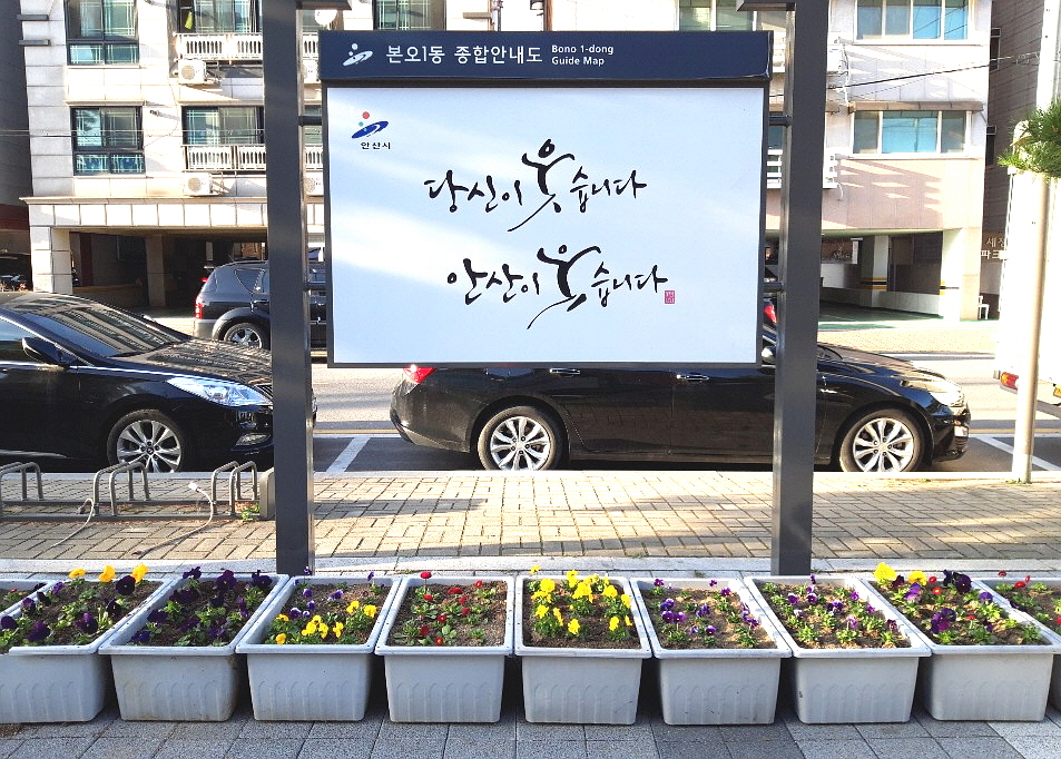 본오1동 청사 주변 봄맞이 꽃 식재