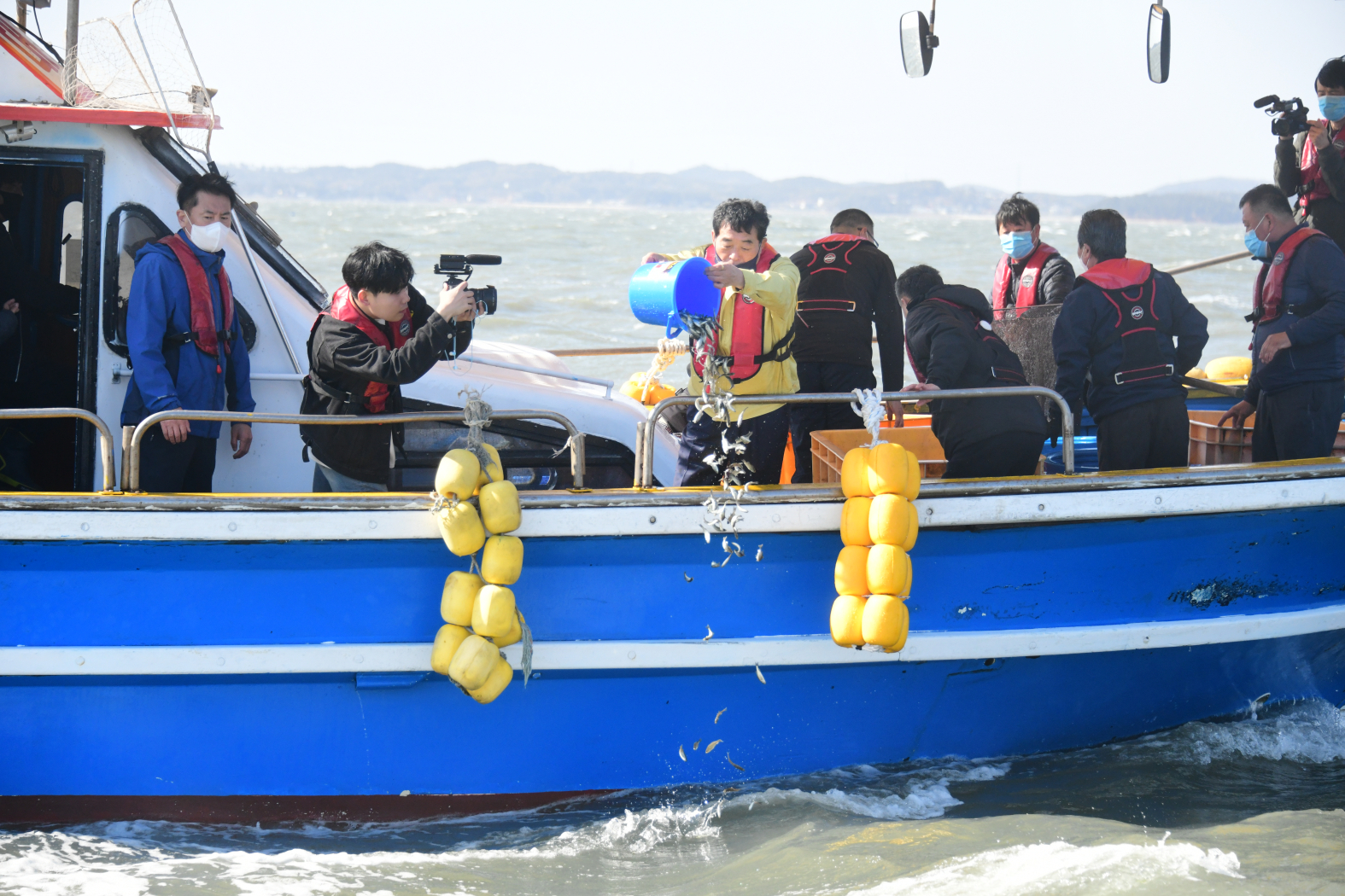 안산시, 대부도 해역에 어린 점농어 20만 마리 방류…수산자원 회복 위해